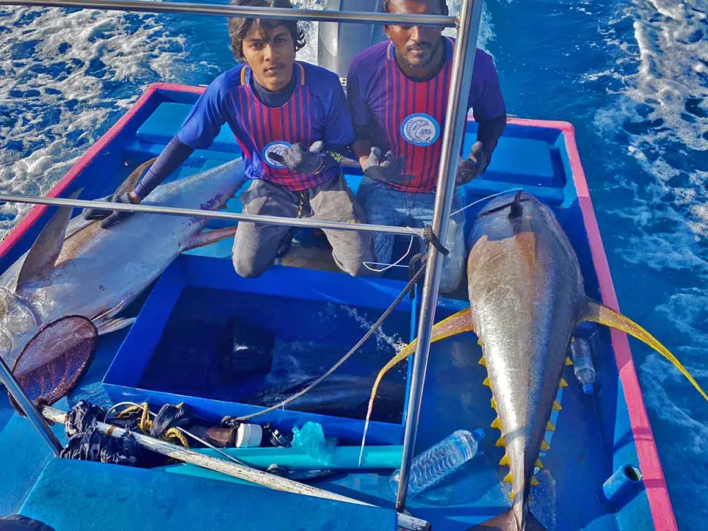 Fuvahmulah’s Ocean Heritage: Living Alongside Tiger Sharks and Protecting Our Marine Environment 7 1000054275