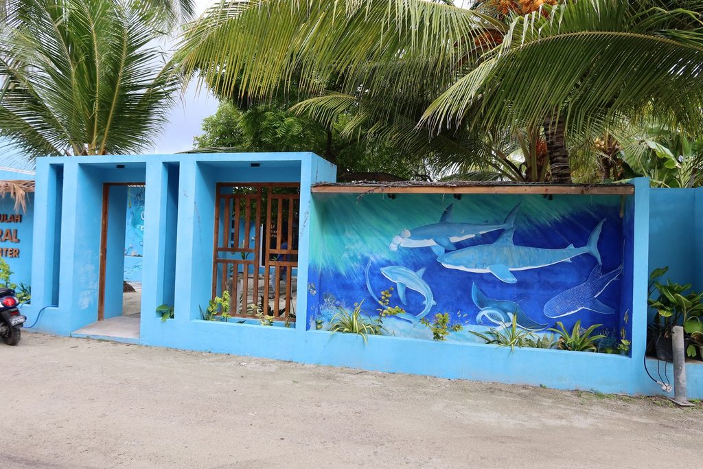 Tiger Sharks and Tranquility: Discover Fuvahmulah Central Hotel in the Maldives 10 1000055578