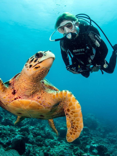 Exclusive Interview: Shumi of Scuba Butler Fuvahmulah on Tiger Sharks, Deep-Ocean Diving and the Future of Fuvahmulah Tourism 10 1000057670