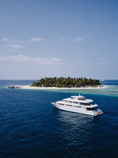 Exclusive Interview: Shumi of Scuba Butler Fuvahmulah on Tiger Sharks, Deep-Ocean Diving and the Future of Fuvahmulah Tourism 7 1000057671