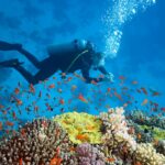 HuvadhooLodgeDive