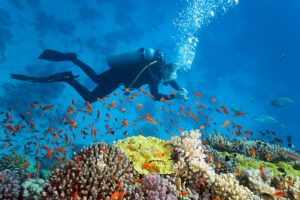 HuvadhooLodgeDive