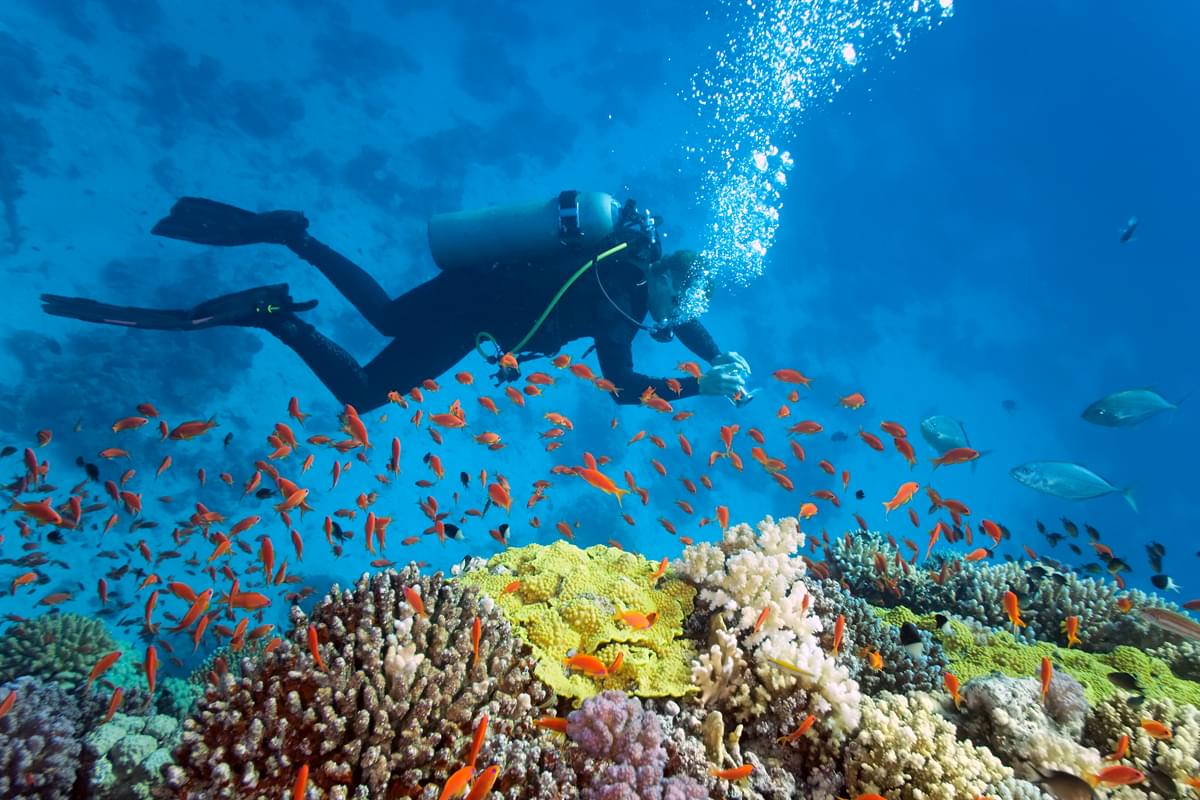 HuvadhooLodgeDive