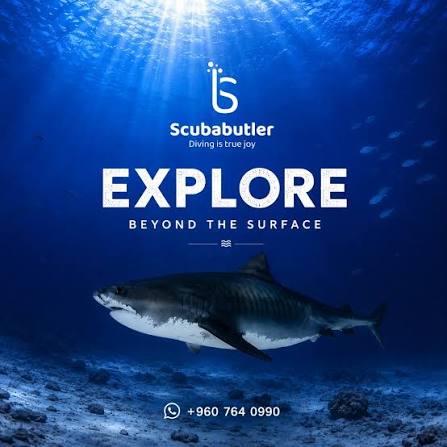Exclusive Interview: Shumi of Scuba Butler Fuvahmulah on Tiger Sharks, Deep-Ocean Diving and the Future of Fuvahmulah Tourism 4 Scuba