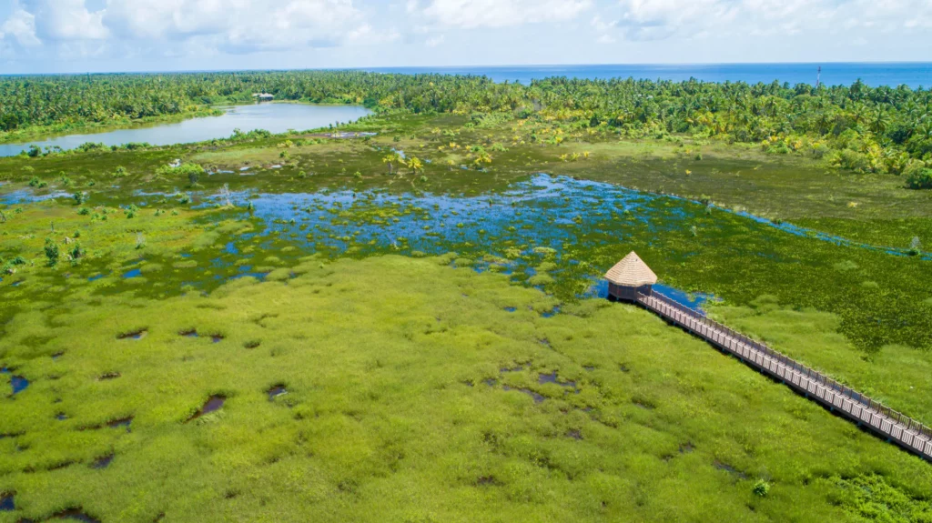 Fuvahmulah’s Ocean Heritage: Living Alongside Tiger Sharks and Protecting Our Marine Environment 9 fuvahmulah biosphere